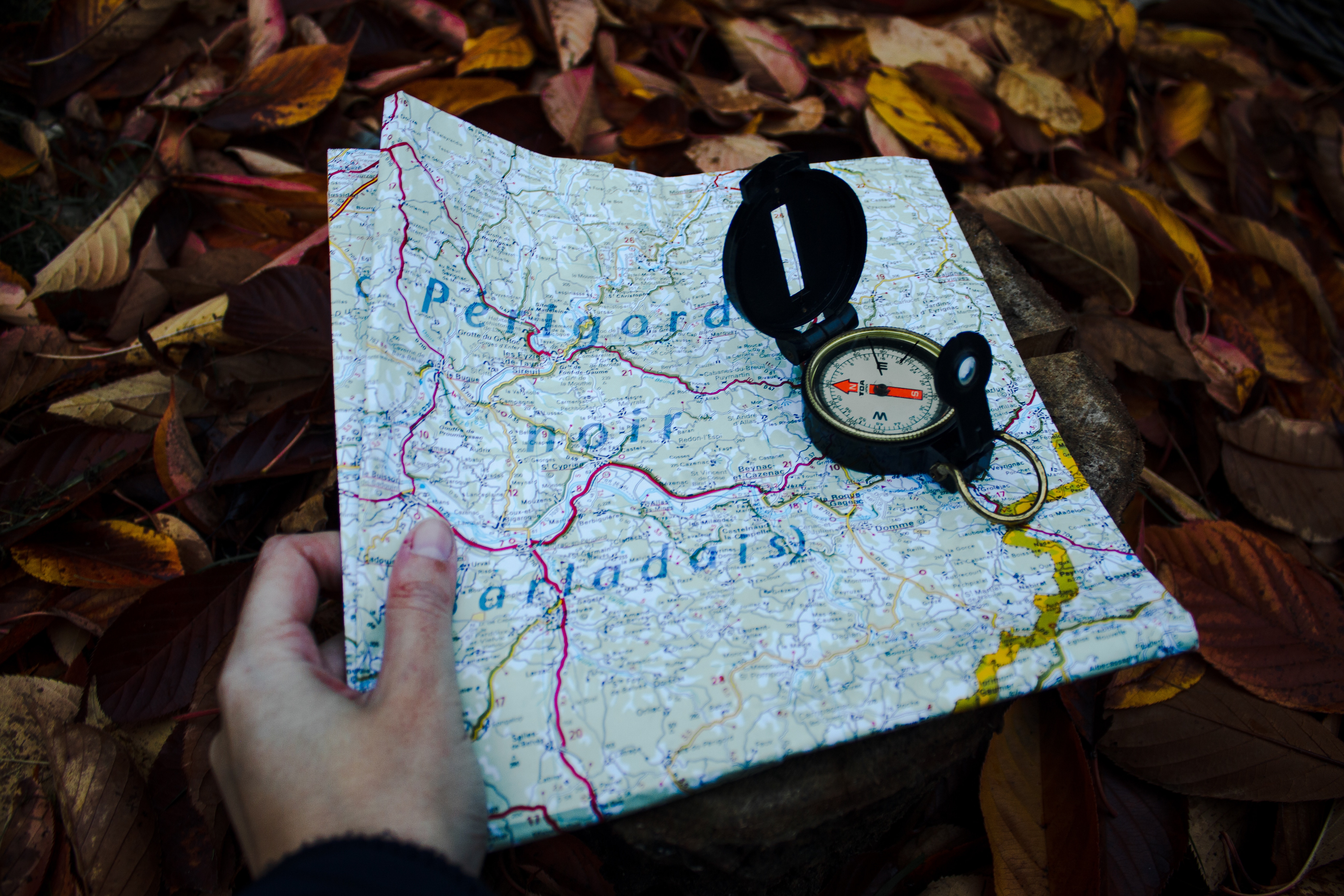 The Blogging Odyssey: Navigating Challenges in Your Career Journey: Roadmap to Success