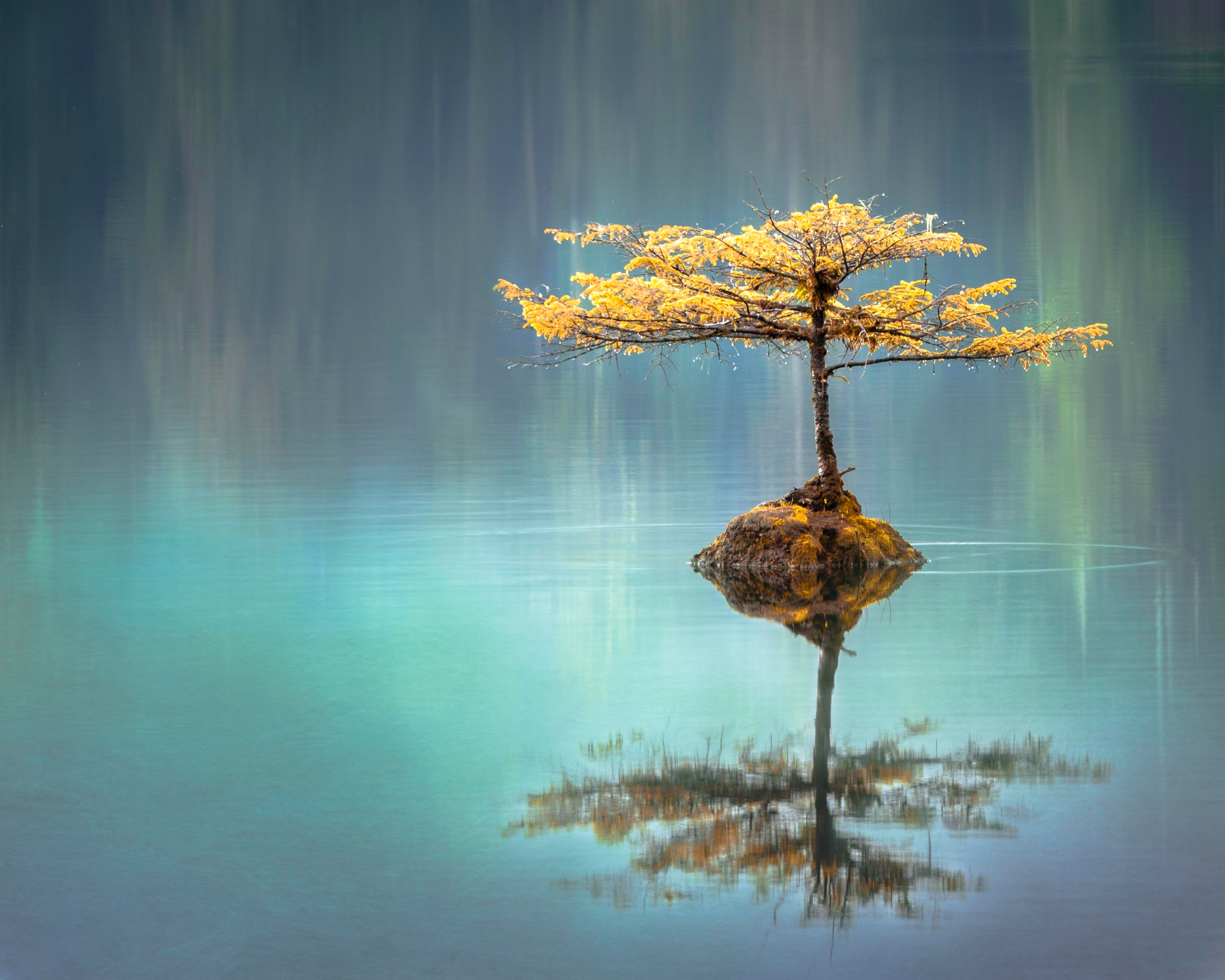 reflection