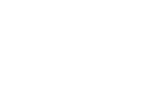 fox and friends